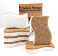 Biodegradable Kitchen Sponges (6-Pack)