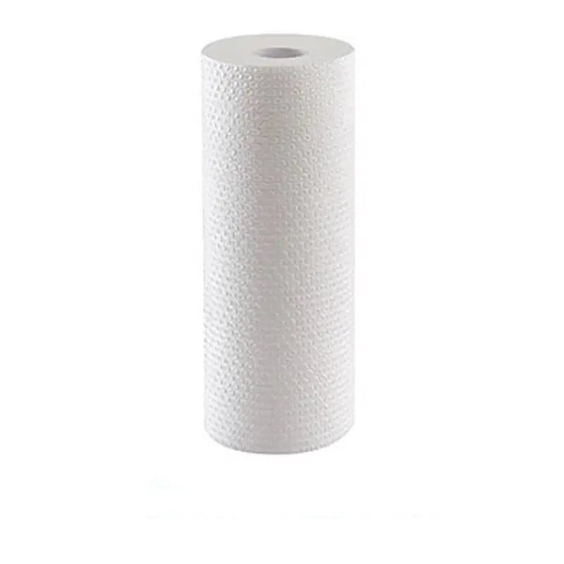 Oil-Absorbing Kitchen Paper Towels (2 Rolls)