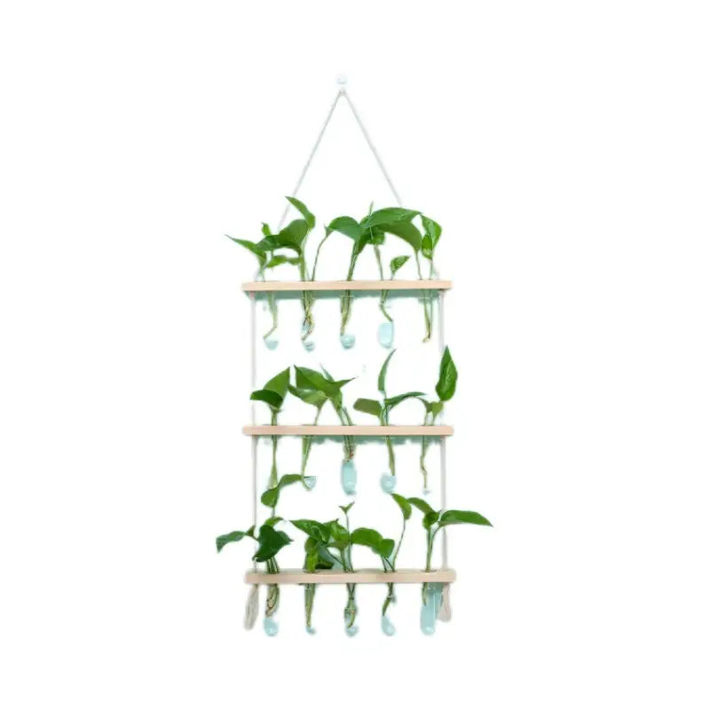 3-Layer Solid Wood Hydroponic Glass Vase Wall Decor