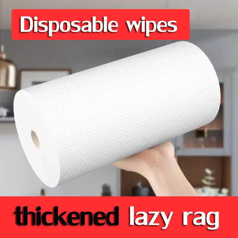 Oil-Absorbing Kitchen Paper Towels (2 Rolls)