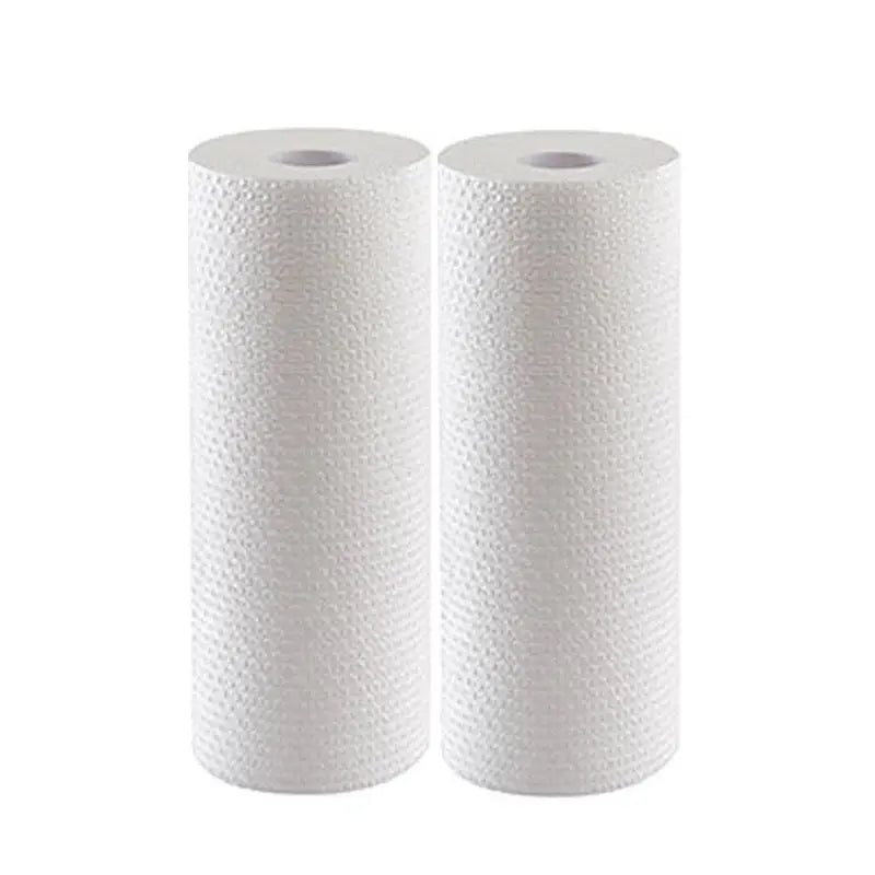 Oil-Absorbing Kitchen Paper Towels (2 Rolls)